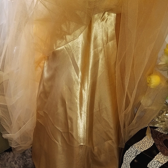 💃Host Pick! Vintage Style Golden Tulle Dress🧚‍♀️ - Picture 6 of 8